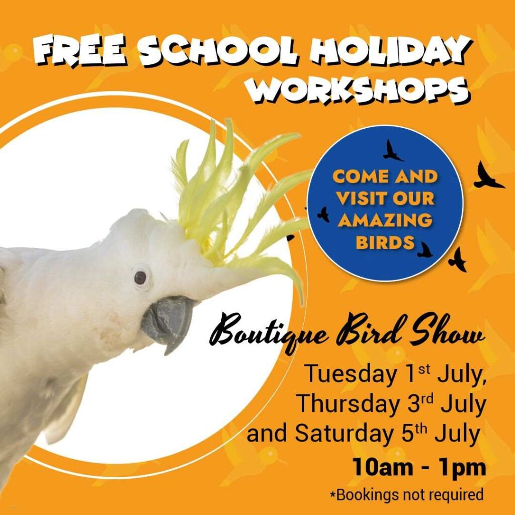School Holiday Fun at Noosa Fair Shopping Centre