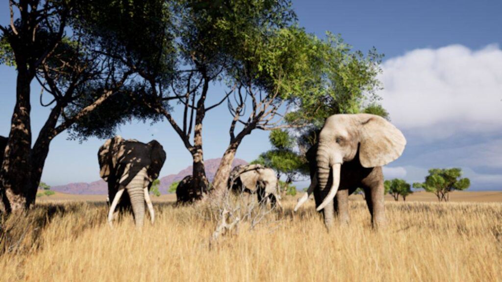 Hologram Zoo Africa Experience