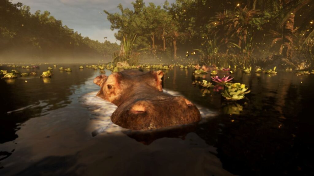 Hologram Zoo Africa Experience