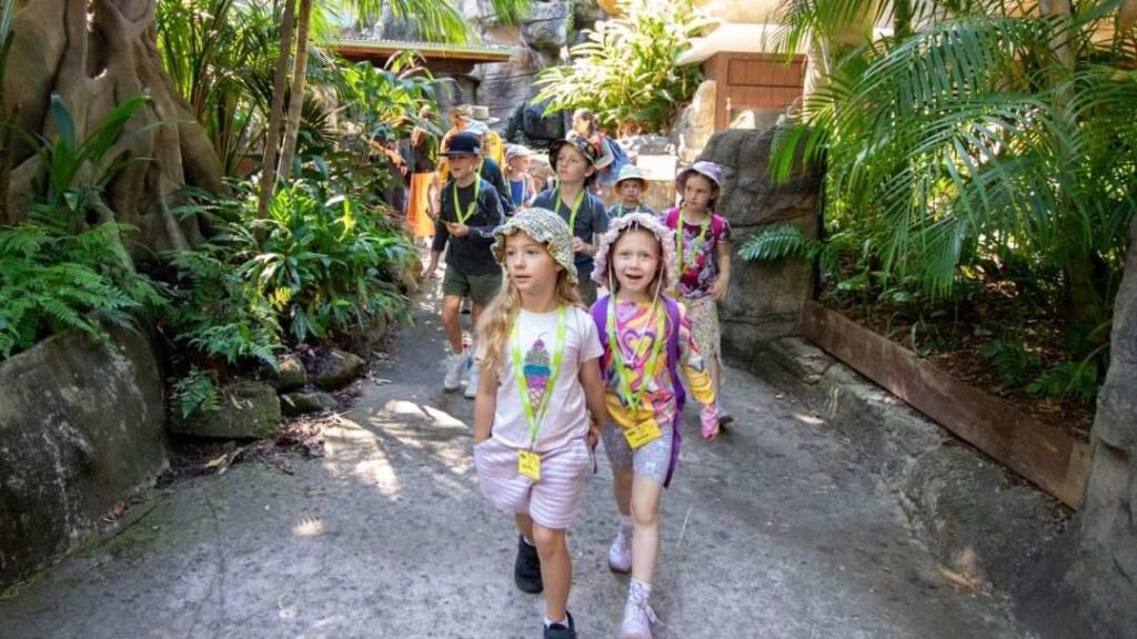Wild Adventures with Currumbin Wildlife Sanctuary