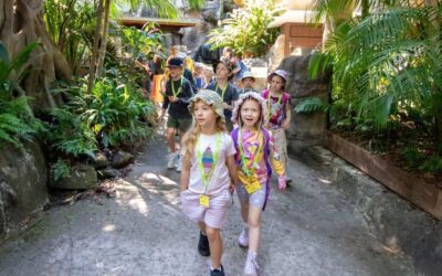 Wild Adventures with Currumbin Wildlife Sanctuary