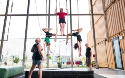 Profile: Flipside Circus