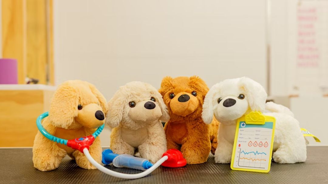 Mini Vet Clinic