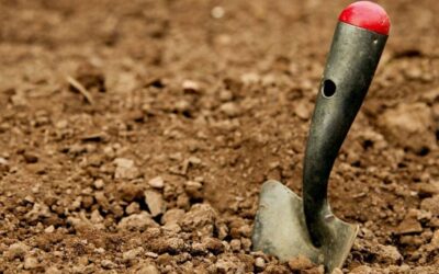 Winter School Holidays Archaeology Dig