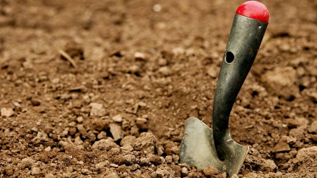 Winter School Holidays Archaeology Dig