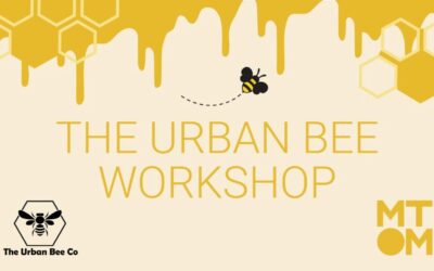 The Urban Bee Project