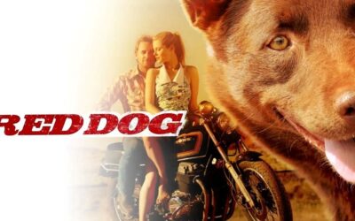 Beerwah Heart Cinema: Red Dog