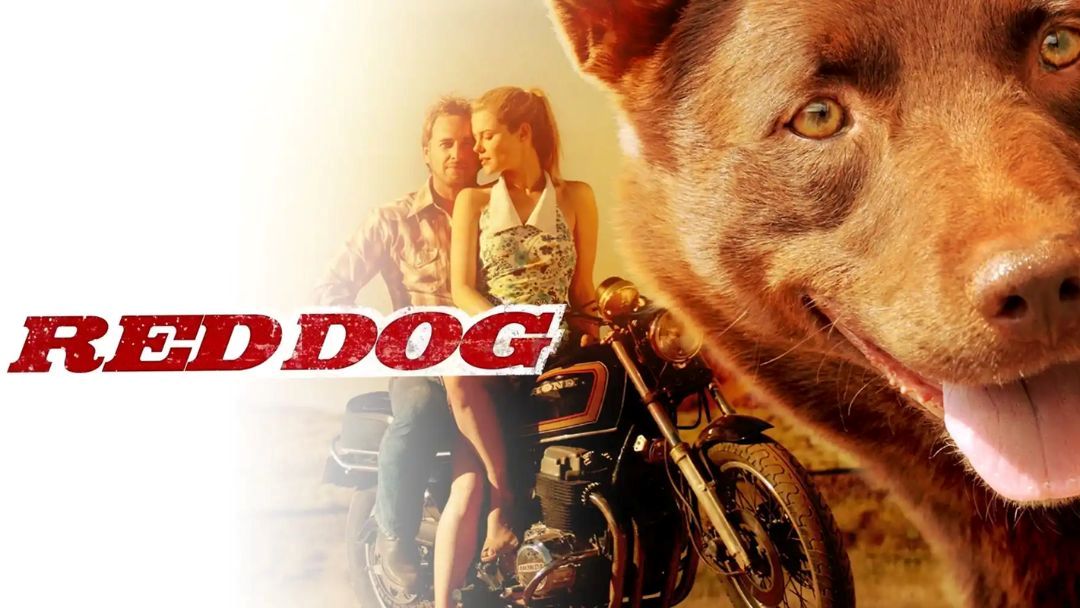 Beerwah Heart Cinema Red Dog