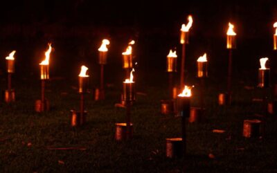 Fire & Flourish Lantern Project