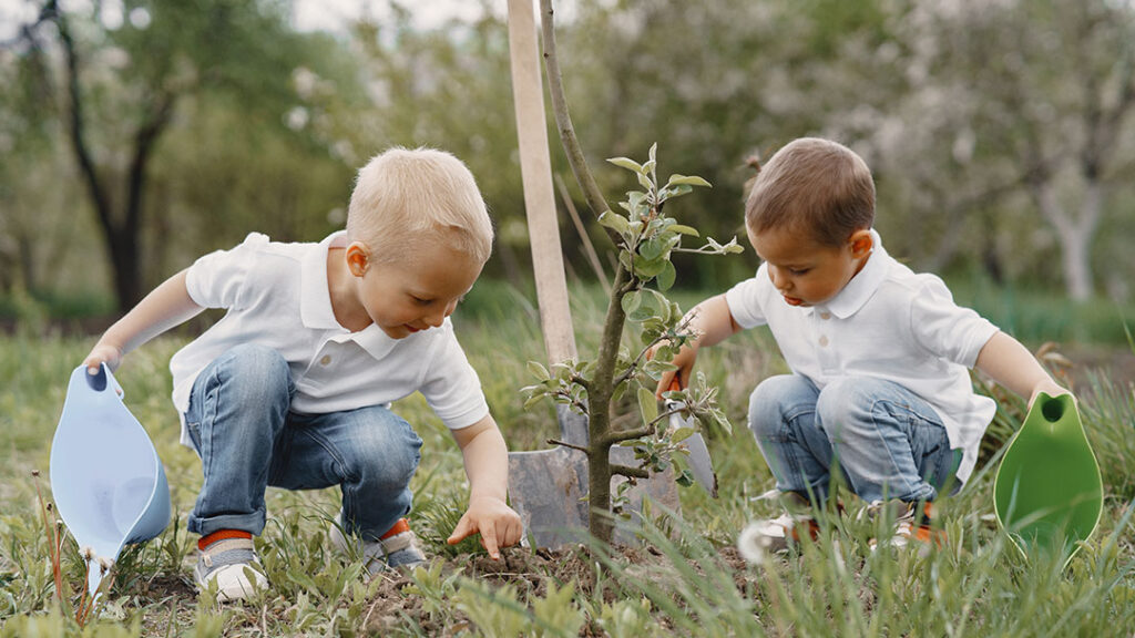 Kidsplantingtree | Kids in Brisbane Gold Coast Sunshine Coast | Kotc Kids Planting a Tree to Commemorate an Important Milestone