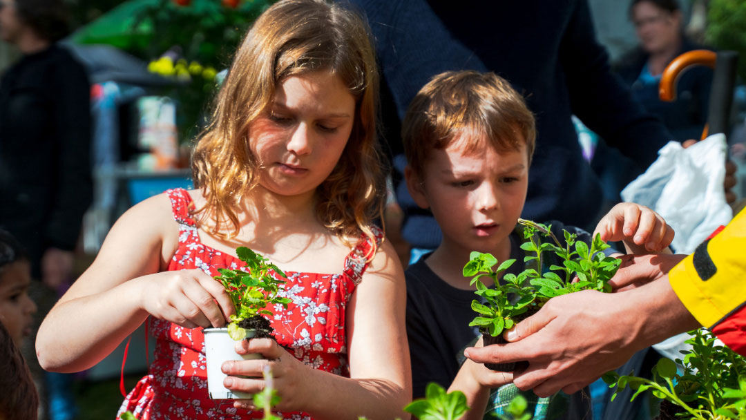 Queensland Garden Show 2025: What’s on for kids