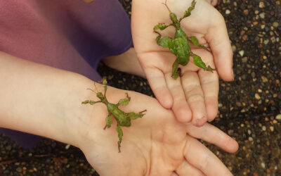 Growing resilient kids through nature play