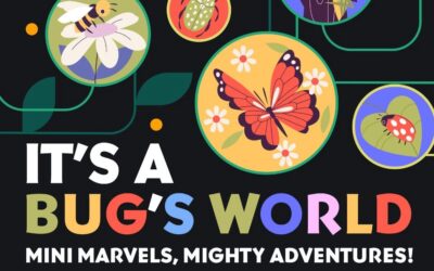 Mini Marvels, Mighty Adventures!