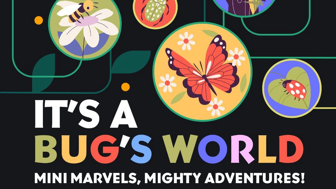 Mini Marvels, Mighty Adventures!
