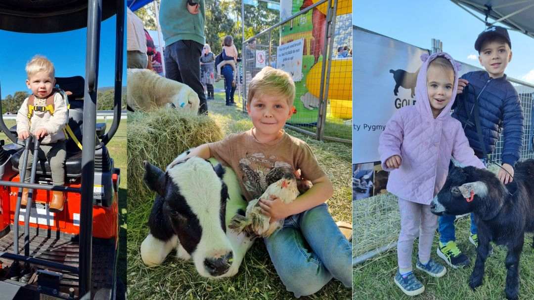 Samford Agricultural Show