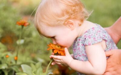 Nature Babies Playgroup