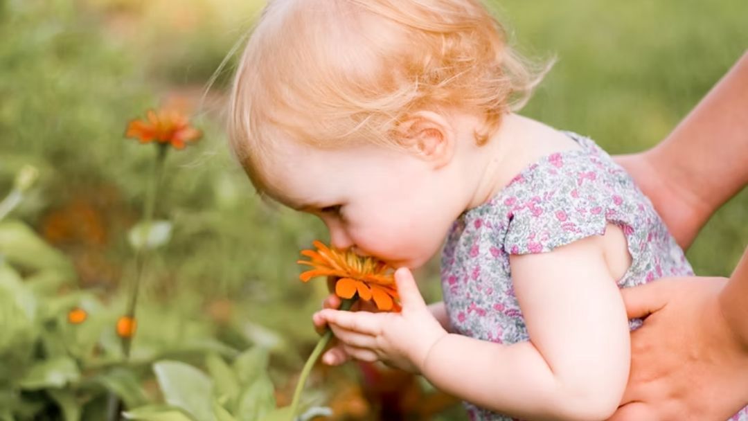 Nature Babies Playgroup