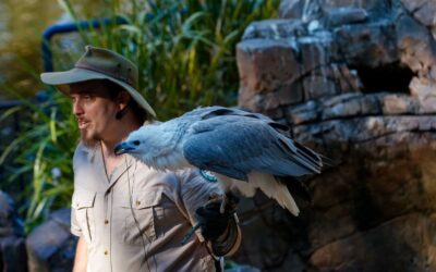 David Fleay Wildlife Park Community Open Day