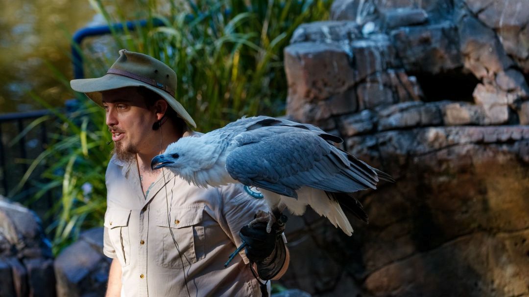 School Holidays at David Fleay Wildlife Park