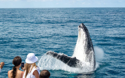 Six family friendly and inclusive activities for September school holidays