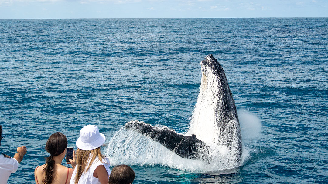Six family friendly and inclusive activities for September school holidays