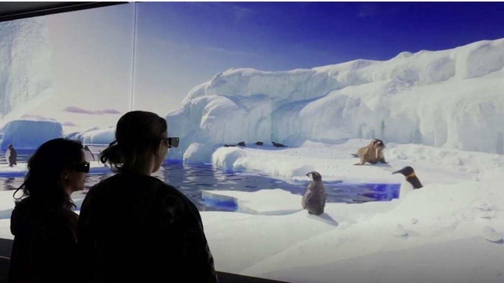 0905_hologramzoo_arctic2 | Kids in Brisbane, Gold Coast, Sunshine Coast | Kotc Hologram Zoo Arctic Experience