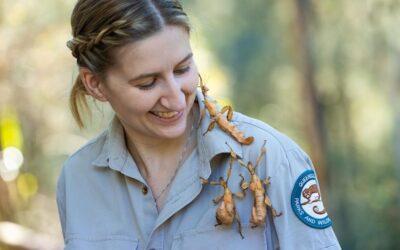 Summer School Holidays at David Fleay Wildlife Park
