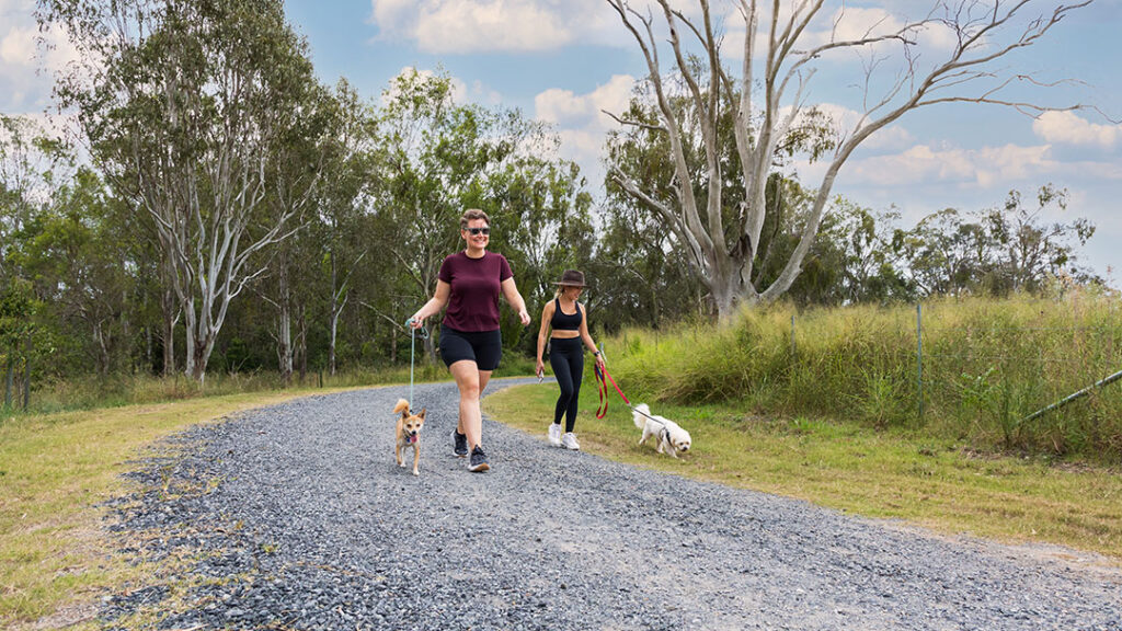 Archerfield-wetlands-brisbane-walking-dogs | Kids in Brisbane, Gold Coast, Sunshine Coast | Kotc People Walking Dogs at Archerfield Wetlands Brisbane