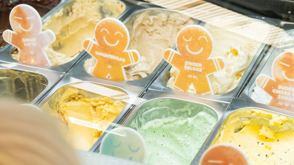 Delicious Ice Cream at the Ginger Factory Sunshine Coast