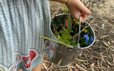 Nature School Term 4