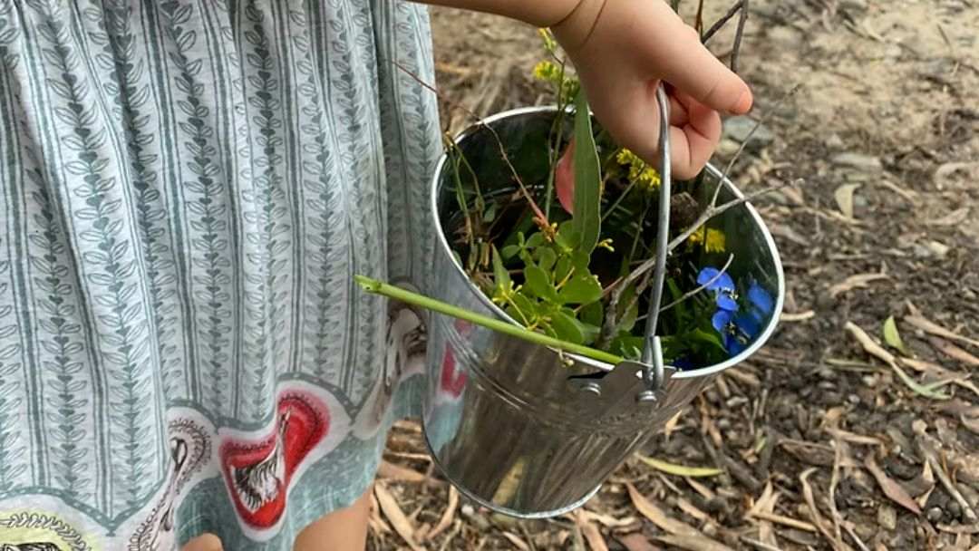 Nature School Term 4