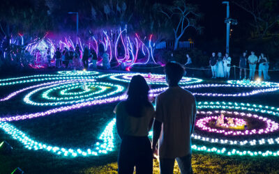 The Enchanted Garden