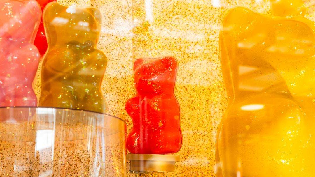 Candy Coated Christmas Windows