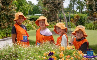 Summer Vacation Care with Australian Early Learning Colleges