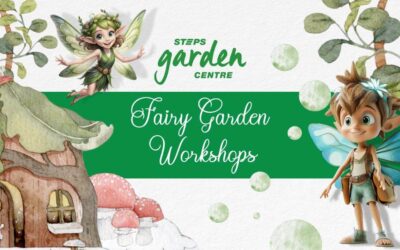 STEPS Garden Centre – Fairy Garden Workshop