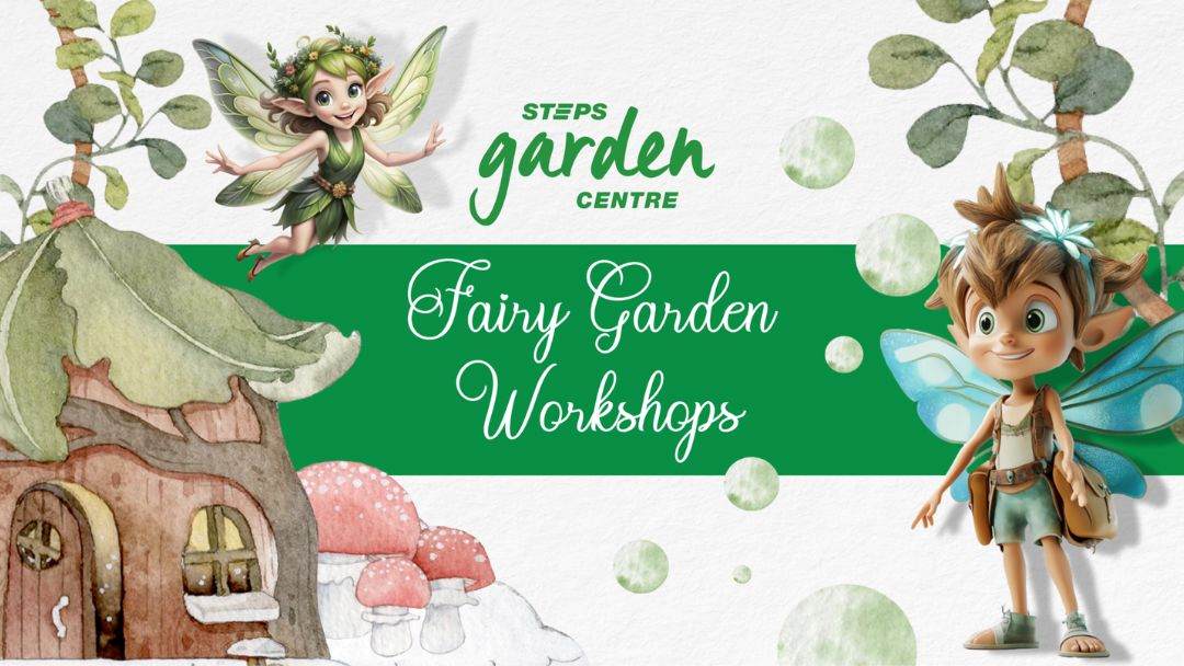 STEPS Garden Centre – Fairy Garden Workshop