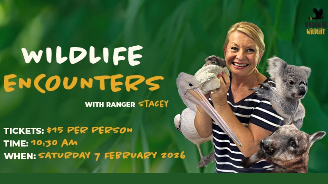 Wildlife Encounters with Ranger Stacey