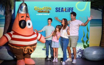 Dive into an Underworld Adventure with SpongeBob at SEA LIFE Sunshine Coast Aquarium