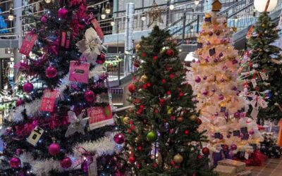 Christmas Tree Lane