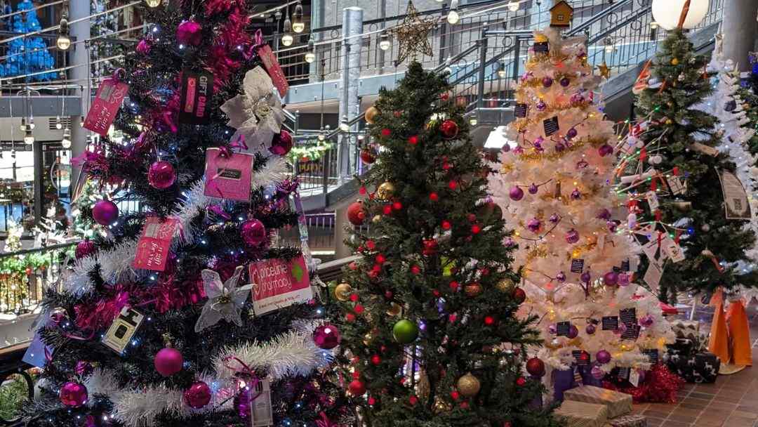 Christmas Tree Lane