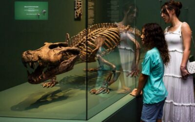 Croc! Lost Giants to Living Legends