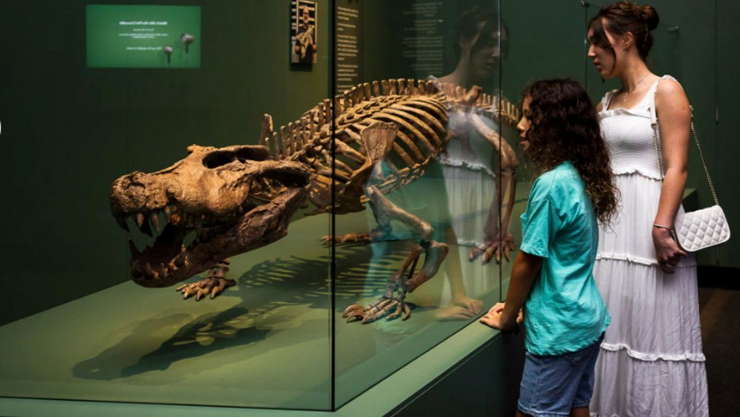 Croc! Lost Giants to Living Legends