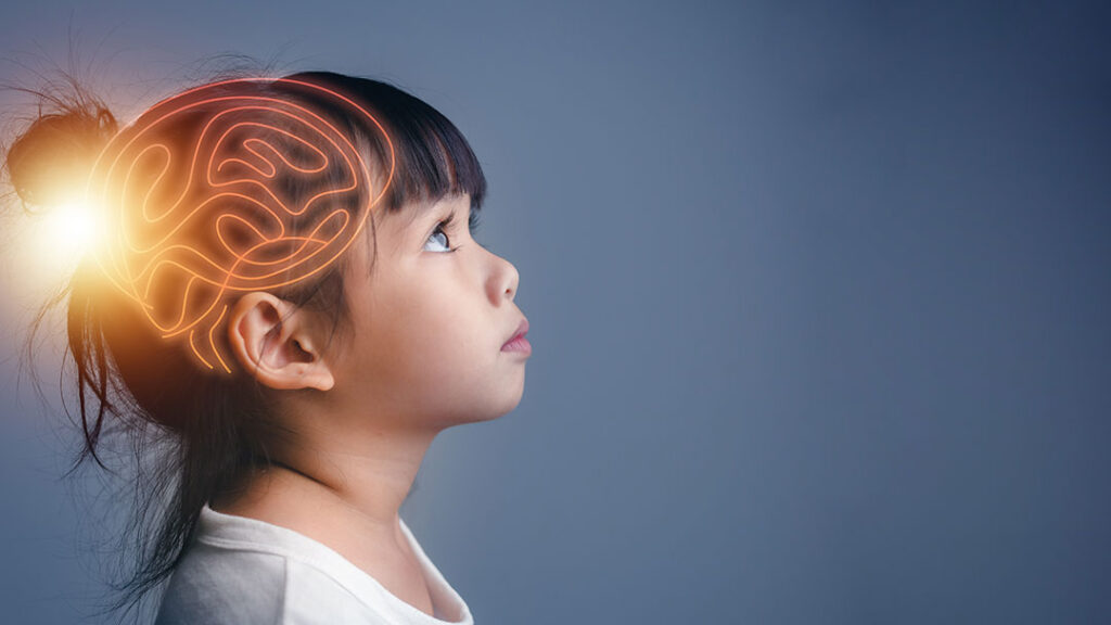 Graphic of Young Brain Still in Development