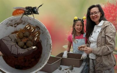 NaturallyGC Summer School Holiday Program