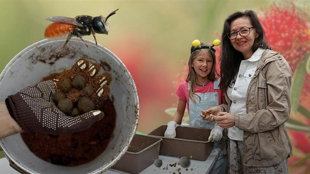 NaturallyGC Summer School Holiday Program