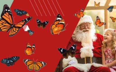 Santa’s Butterfly House