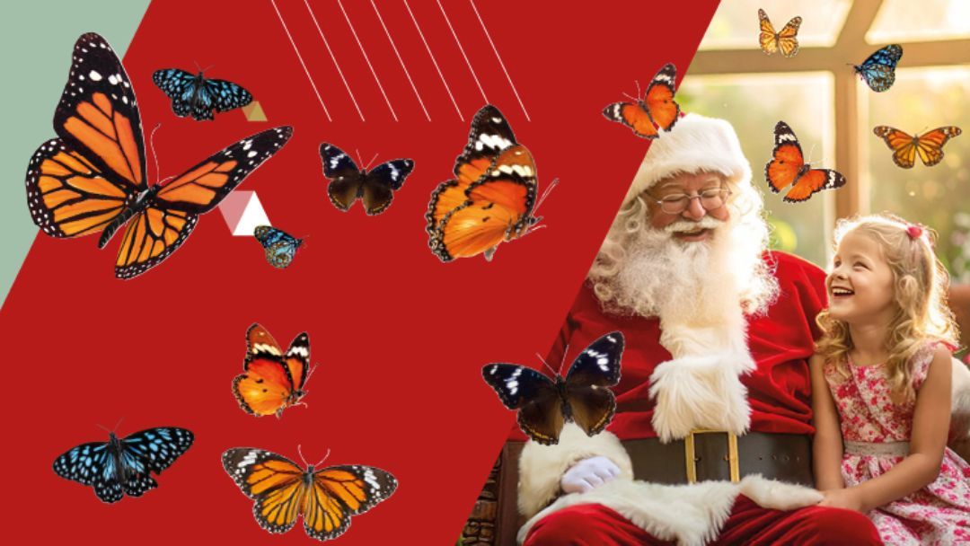 Santa's Butterfly House