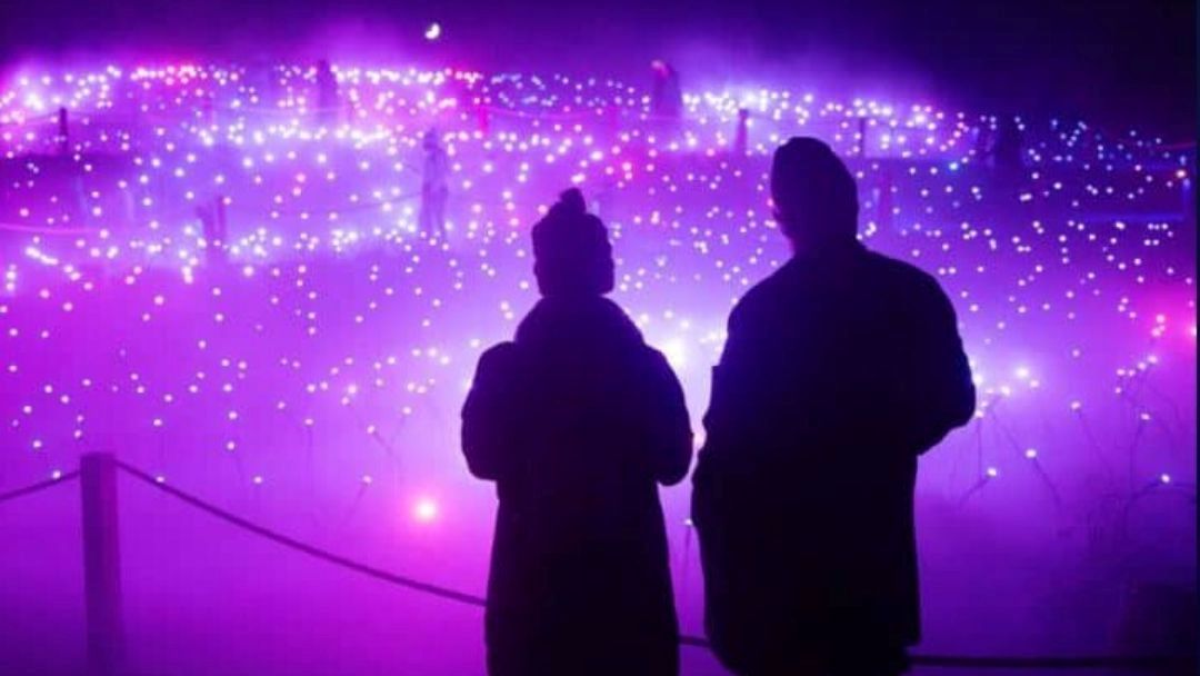 Christmas at Astra Lumina