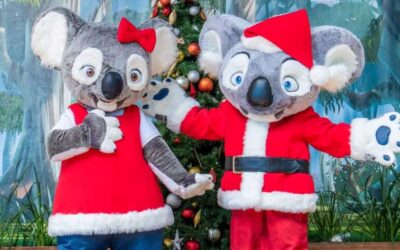 Wild Christmas at Currumbin Wildlife Sanctuary