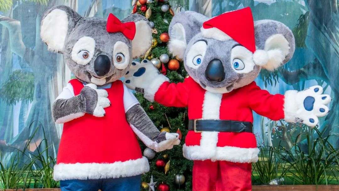 Wild Christmas at Currumbin Wildlife Sanctuary